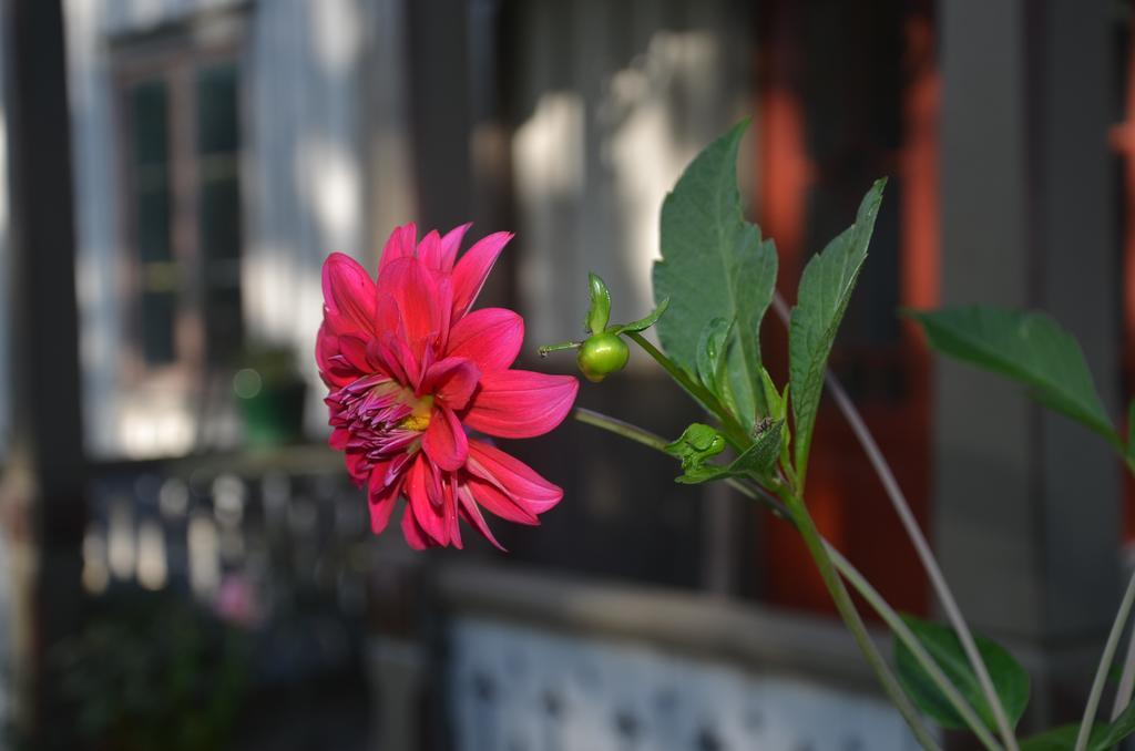 Sätuna Naestegarden Bed & Breakfast المظهر الخارجي الصورة